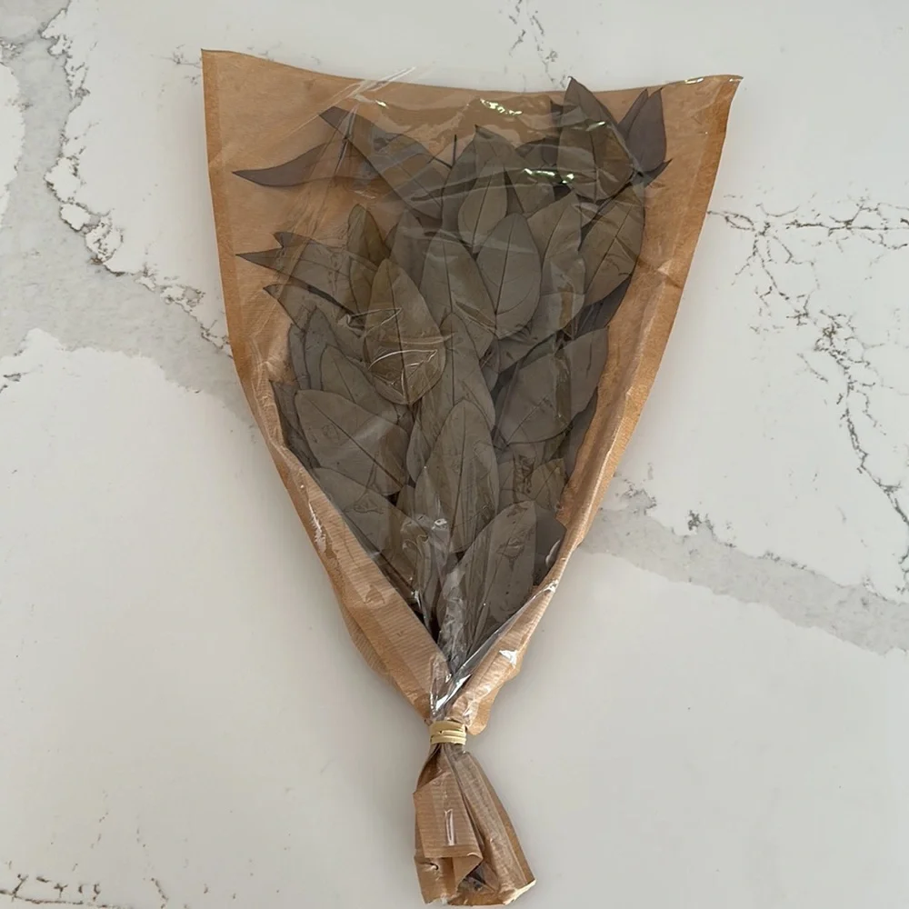 NWT‼️Hearth & Hand with Magnolia Preserved Green Eucalyptus Green Bundle